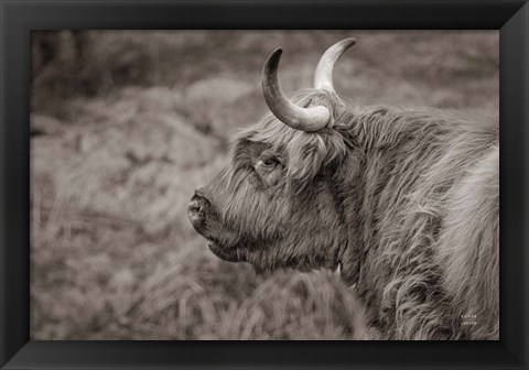 Framed Highland Cow on Watch Print