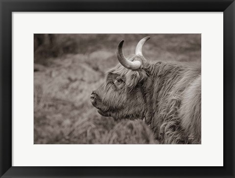 Framed Highland Cow on Watch Print