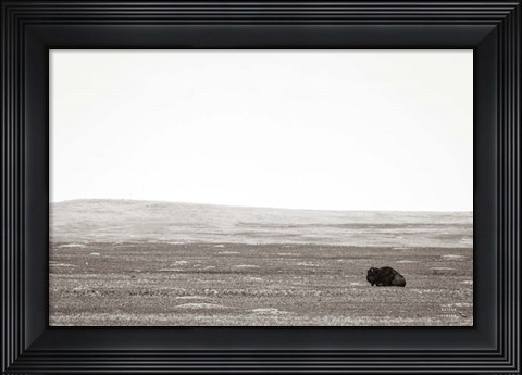 Framed Badlands Guard Print