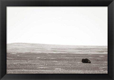 Framed Badlands Guard Print