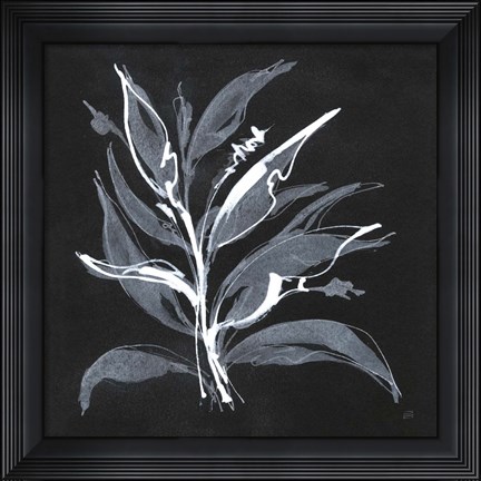 Framed Chalkboard Branch II Print