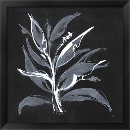 Framed Chalkboard Branch II Print