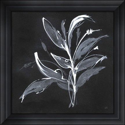 Framed Chalkboard Branch I Print