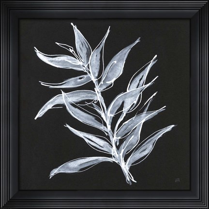 Framed White Fern II Print