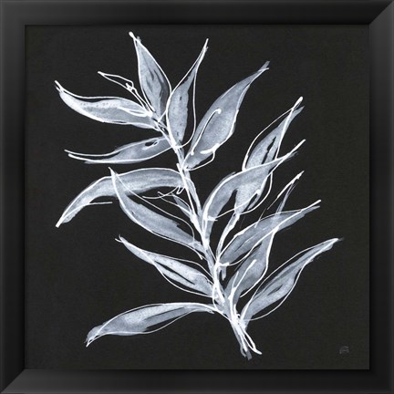 Framed White Fern II Print