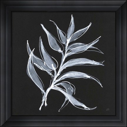 Framed White Fern I Print