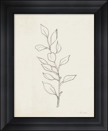 Framed August Branch II Print