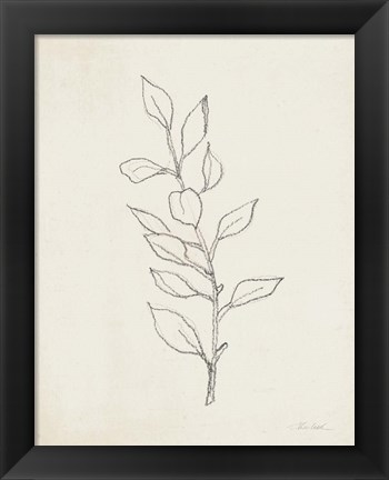 Framed August Branch II Print