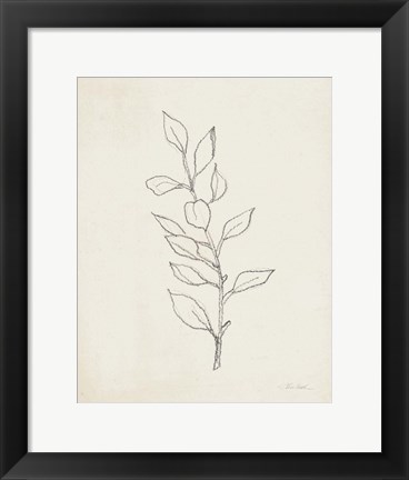 Framed August Branch II Print