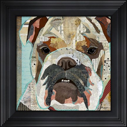 Framed English Bulldog Print