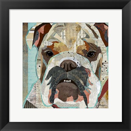 Framed English Bulldog Print