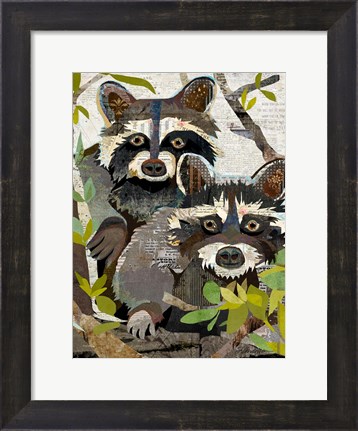 Framed Raccoons Print