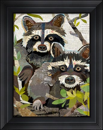 Framed Raccoons Print
