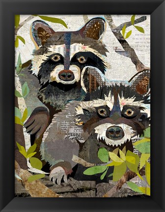 Framed Raccoons Print