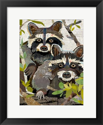 Framed Raccoons Print