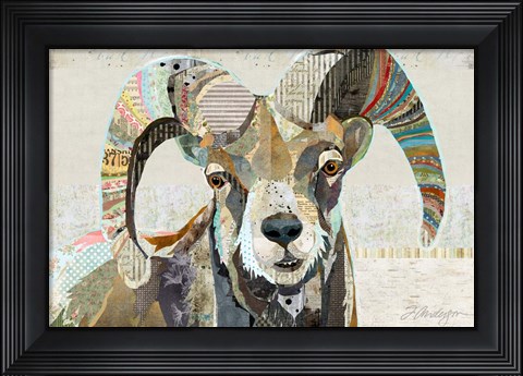 Framed Wild Bighorn Sheep Print