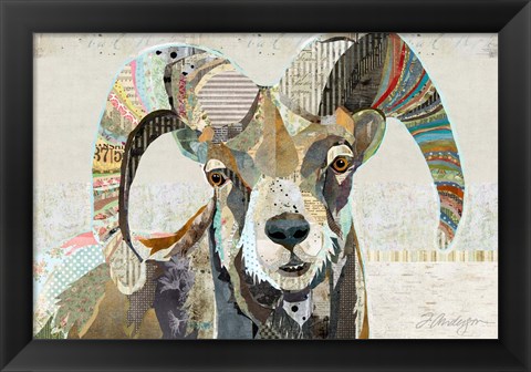 Framed Wild Bighorn Sheep Print