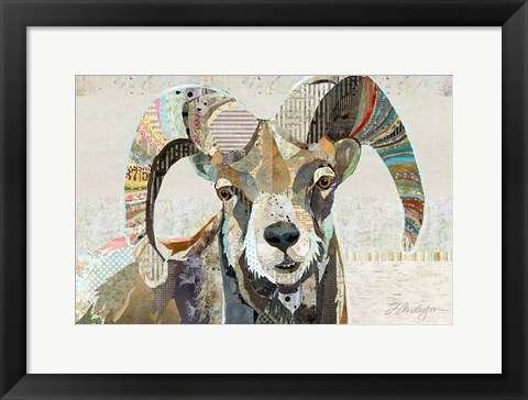 Framed Wild Bighorn Sheep Print