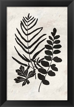 Framed Botanica 1 Print