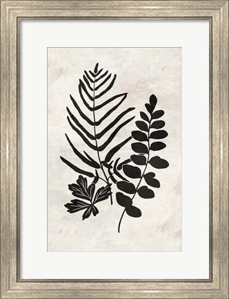 Framed Botanica 1 Print