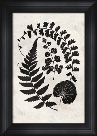 Framed Botanica 2 Print