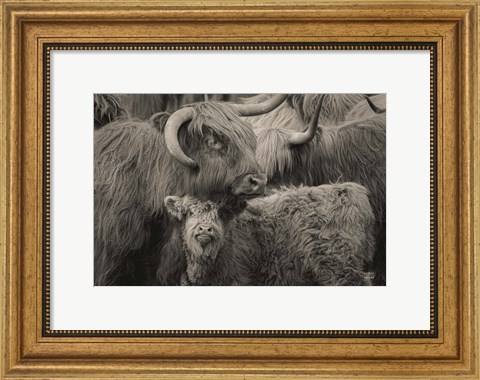 Framed Highland Cow Under Cover Neutral Print