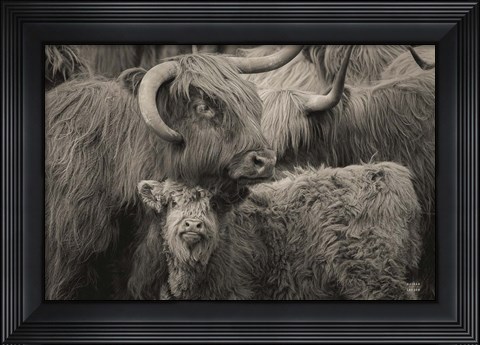 Framed Highland Cow Under Cover Neutral Print
