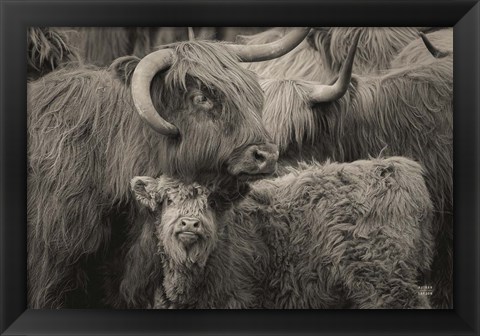 Framed Highland Cow Under Cover Neutral Print