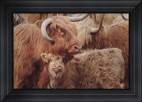 Framed Highland Cow Under Cover Print