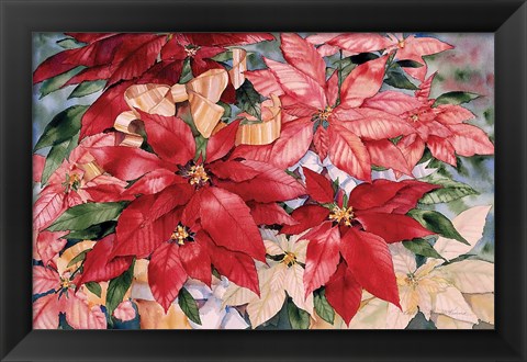 Framed Poinsettia Print