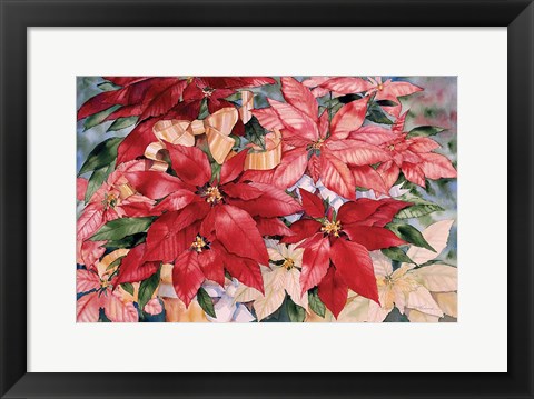 Framed Poinsettia Print