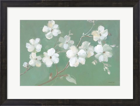Framed Blossoms on Sage Print