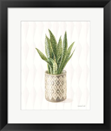 Framed Desert Greenhouse XVI Print