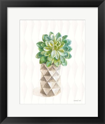 Framed Desert Greenhouse XVIII Print