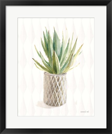 Framed Desert Greenhouse XIX Print