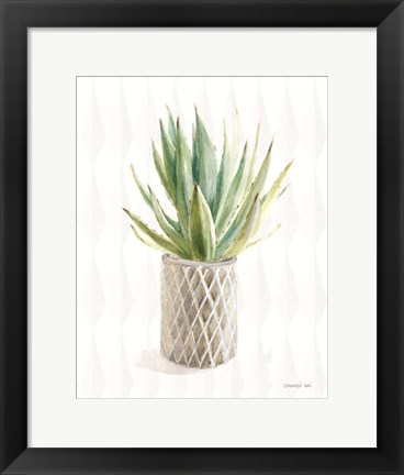 Framed Desert Greenhouse XIX Print