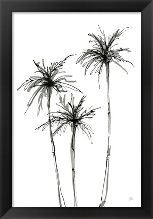 Framed Shadow Palms IV Print