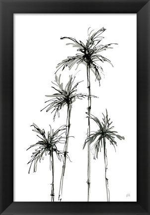 Framed Shadow Palms III Print