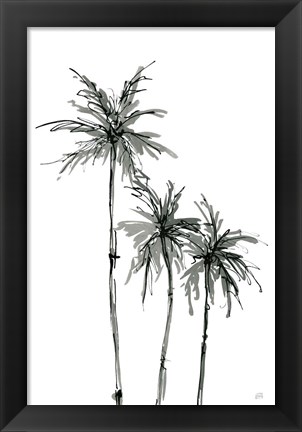 Framed Shadow Palms II Print