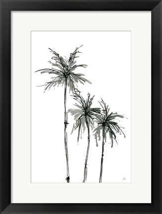 Framed Shadow Palms II Print