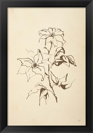 Framed Vintage Line Clematis Print