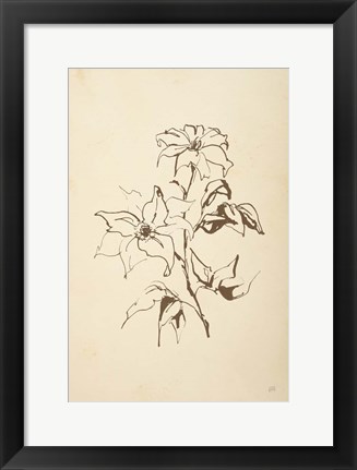 Framed Vintage Line Clematis Print