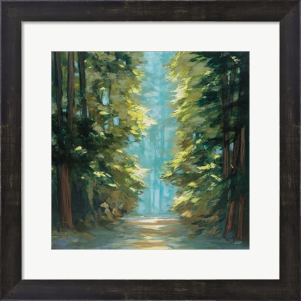 Framed Sunlit Forest Print