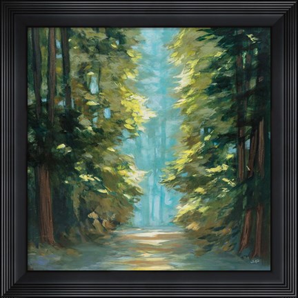 Framed Sunlit Forest Print