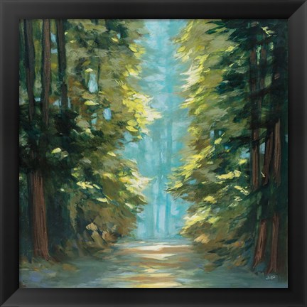 Framed Sunlit Forest Print