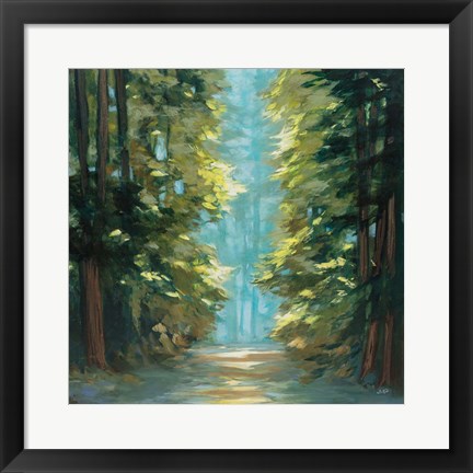 Framed Sunlit Forest Print