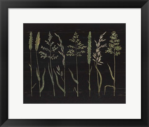 Framed Herbal Botanical VII Black Wood No Words Print