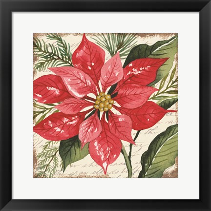 Framed Red Poinsettia Botanical Print