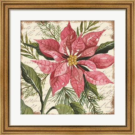 Framed Mauve Poinsettia Botanical Print