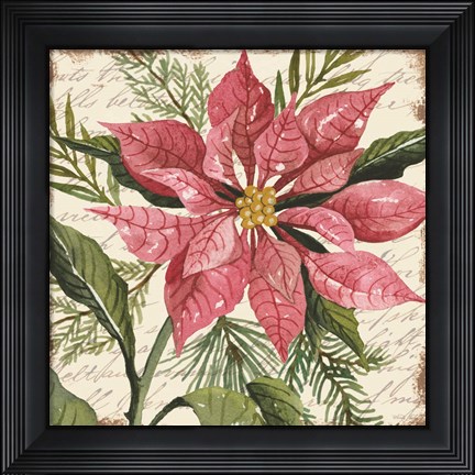 Framed Mauve Poinsettia Botanical Print